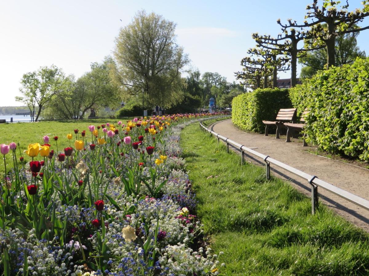 Ferienwohnungen "Marie" Mit Terrassen, Inclusive Park- Und Stellplaetze Am Haus, Mueritz-Strand Nur 700M, Altstadt 10Min, Ruhige Lage, Waren  Ngoại thất bức ảnh