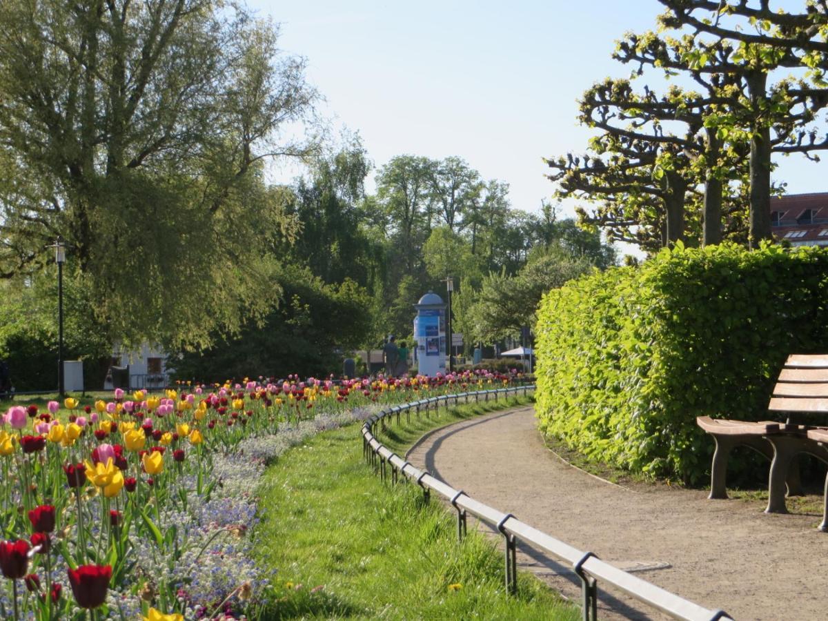 Ferienwohnungen "Marie" Mit Terrassen, Inclusive Park- Und Stellplaetze Am Haus, Mueritz-Strand Nur 700M, Altstadt 10Min, Ruhige Lage, Waren  Ngoại thất bức ảnh